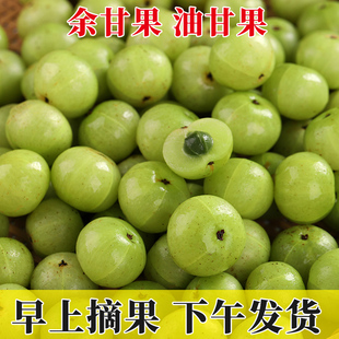 新鲜油甘果余甘果牛甘果滇橄榄子孕妇酸水果生吃新鲜水果油甘