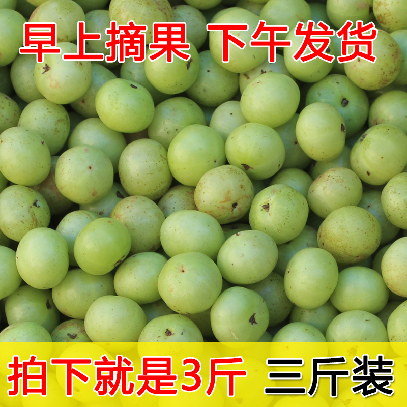 3斤新鲜油甘果橄榄孕妇