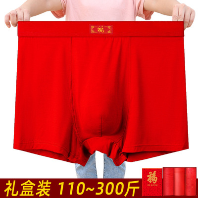 men underpants sexy mens underwear boxers men briefs shorts