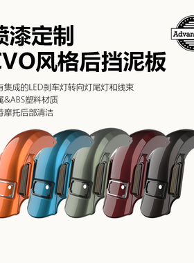 Advanblack哈雷路王大道公路滑翔喷漆定制CVO后泥瓦带LED灯挡泥板