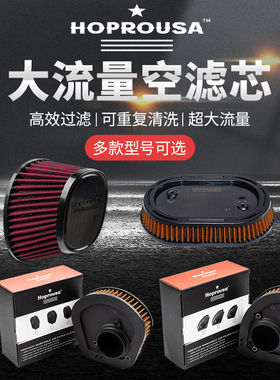 M8哈雷大道公路滑翔街霸肥仔路威st改装大流量进气滤网HP空滤芯