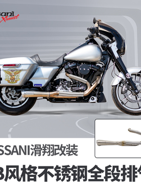 Bassani巴萨尼哈雷大道双灯公路滑翔改装二出一排气管不锈钢全段