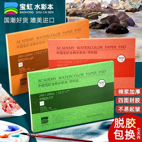 宝虹水彩纸水彩本棉浆300g中粗细