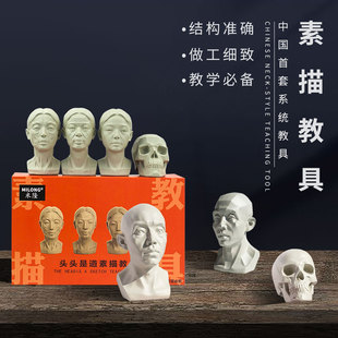 米隆树脂素描教具头头是道头骨肌肉人头像青年原版青年块面雕塑摆