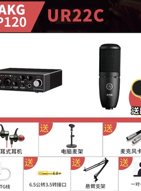 AKG/爱科技 P120专业人声配音电容麦克风 网络主播直播录音话筒