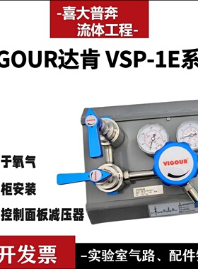 VIGOUR达肯单侧式压力控制面板控制阀减压器VSP-1E气瓶柜阀带吹扫