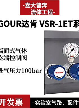 VIGOUR达肯 墙面式气体终端调压阀 面板减压器VSR-1ET 模块化设计