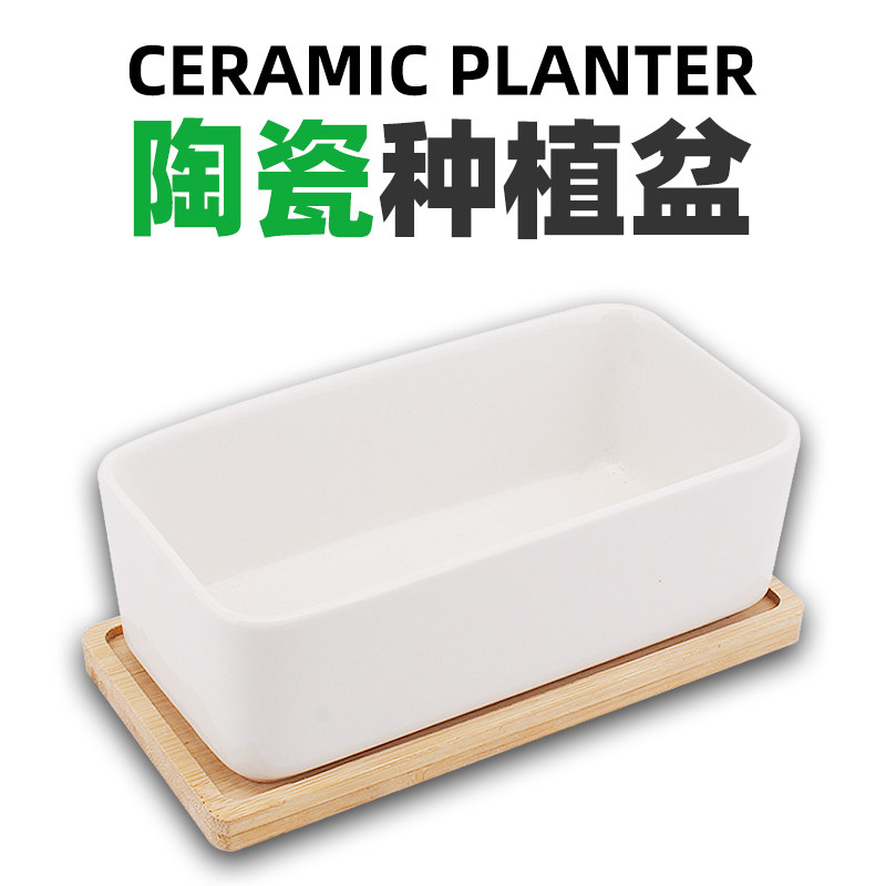 陶瓷花盆种植套装猫草种子吐毛球猫用品零食猫薄荷盆栽空气净化,宠物/宠物食品及用品,猫零食罐,淘宝优惠券,粉丝福利购,淘宝优惠卷