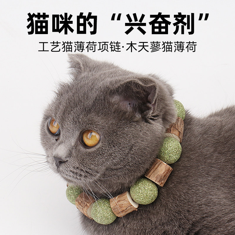 猫薄荷项链猫咪玩具吸猫手链木天蓼棒棒糖球成猫咬啃自嗨磨牙神器