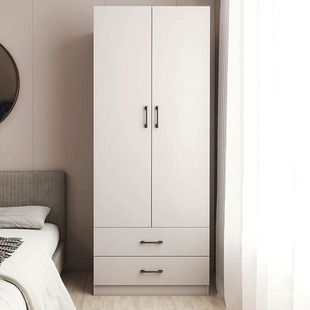 北京定制两门衣柜衣帽间储物柜卧室柜ENF