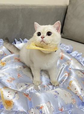 真丝四用预定中！！！！！不退不换