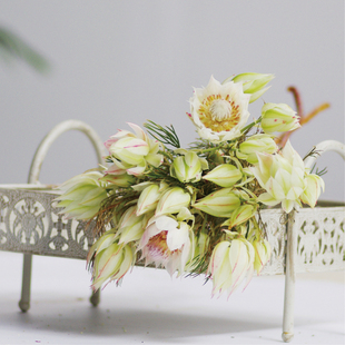 新娘小众稀有精品花材家庭瓶插花艺婚庆节日比赛装饰花束应季鲜花