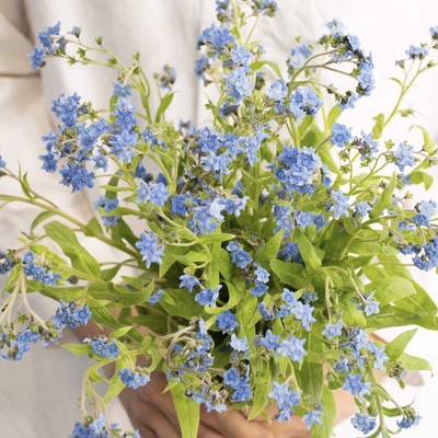 蓝布裙小众稀有家庭瓶插花艺婚庆