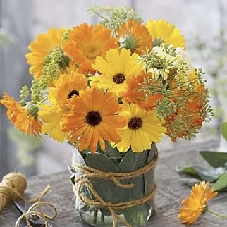 金盏菊鲜切花小众稀有精品花材家庭瓶插花艺婚庆节日比赛装饰花束,鲜花速递/花卉仿真/绿植园艺,花材,淘宝优惠券,粉丝福利购,淘宝优惠卷