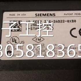 ！6EP1334-2AA00 西门子 全新原装正品 询价