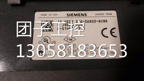 ！6EP1334-2AA00 西门子 全新原装正品 询价