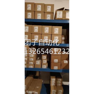 西门子S7-300 CPU317-2PN/DP中央处理器6ES7317-2EK13-0AB0/OABO