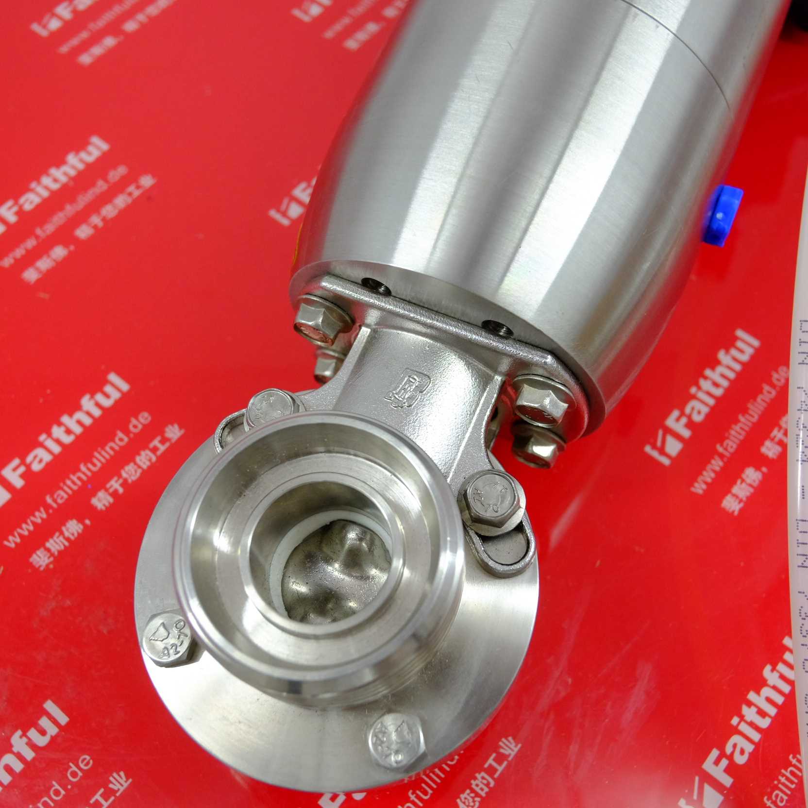 BARDIANIZVF意大利b