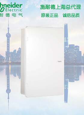 正品 施耐德 天朗配电箱 暗装白色门三排36位36回路配电箱 TLA36B