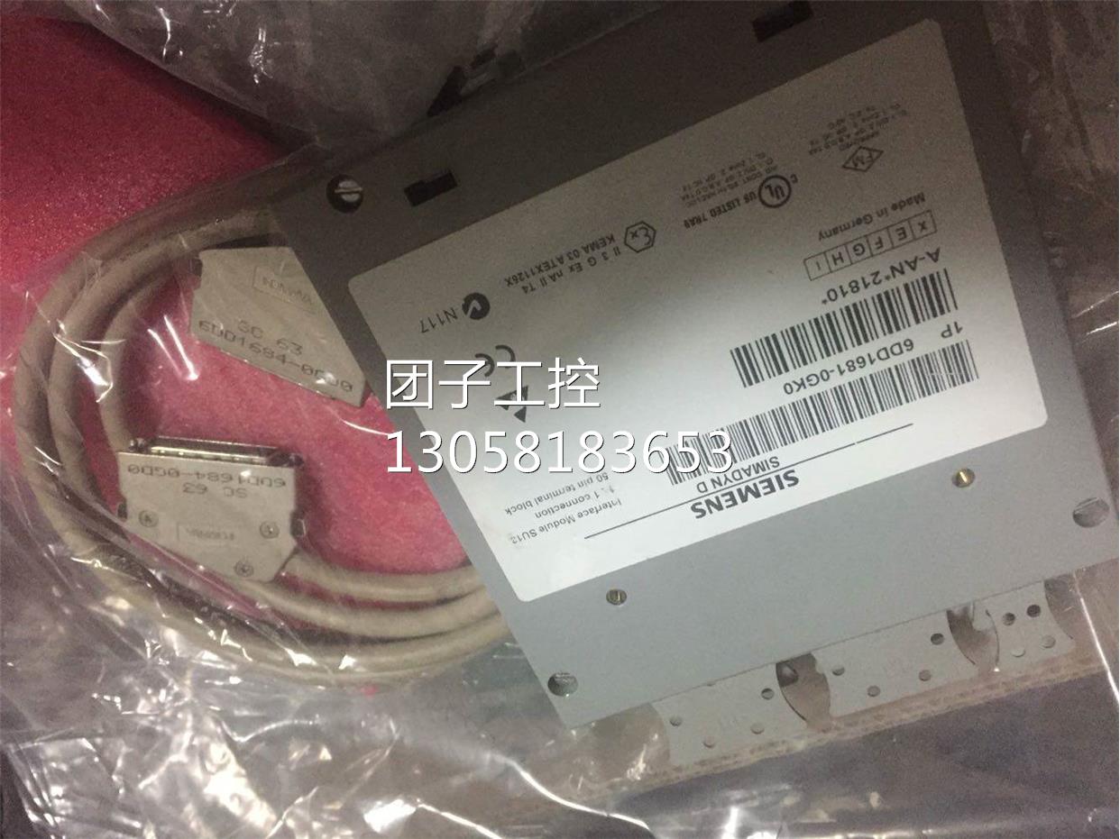 ！全新原装6DD1 681-0GK0 SU13端子模块 6DD16810GK0/6DD1 6810GK