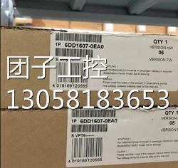 ！6DD1607-0EA1西门子原装正品特价销售6DD16070EA1询价