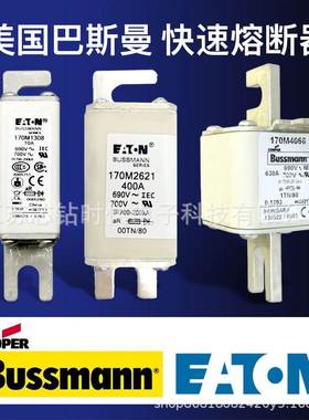 巴斯曼快速熔断器170M8649 170M8650 170M6301 全新产品 质量保障