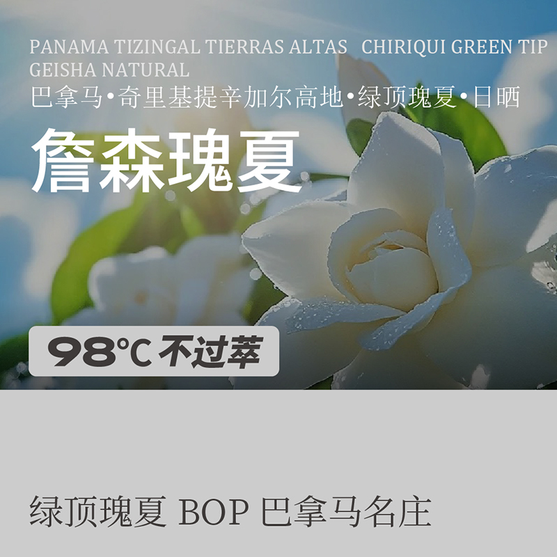 柒浩豆仓巴拿马詹森庄园绿顶瑰夏日晒极浅烘冷萃手冲咖啡单品豆