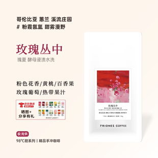 哥伦比亚 溪流庄园 瑰夏 酵母浸渍水洗 玫瑰丛中 精品手冲咖啡豆