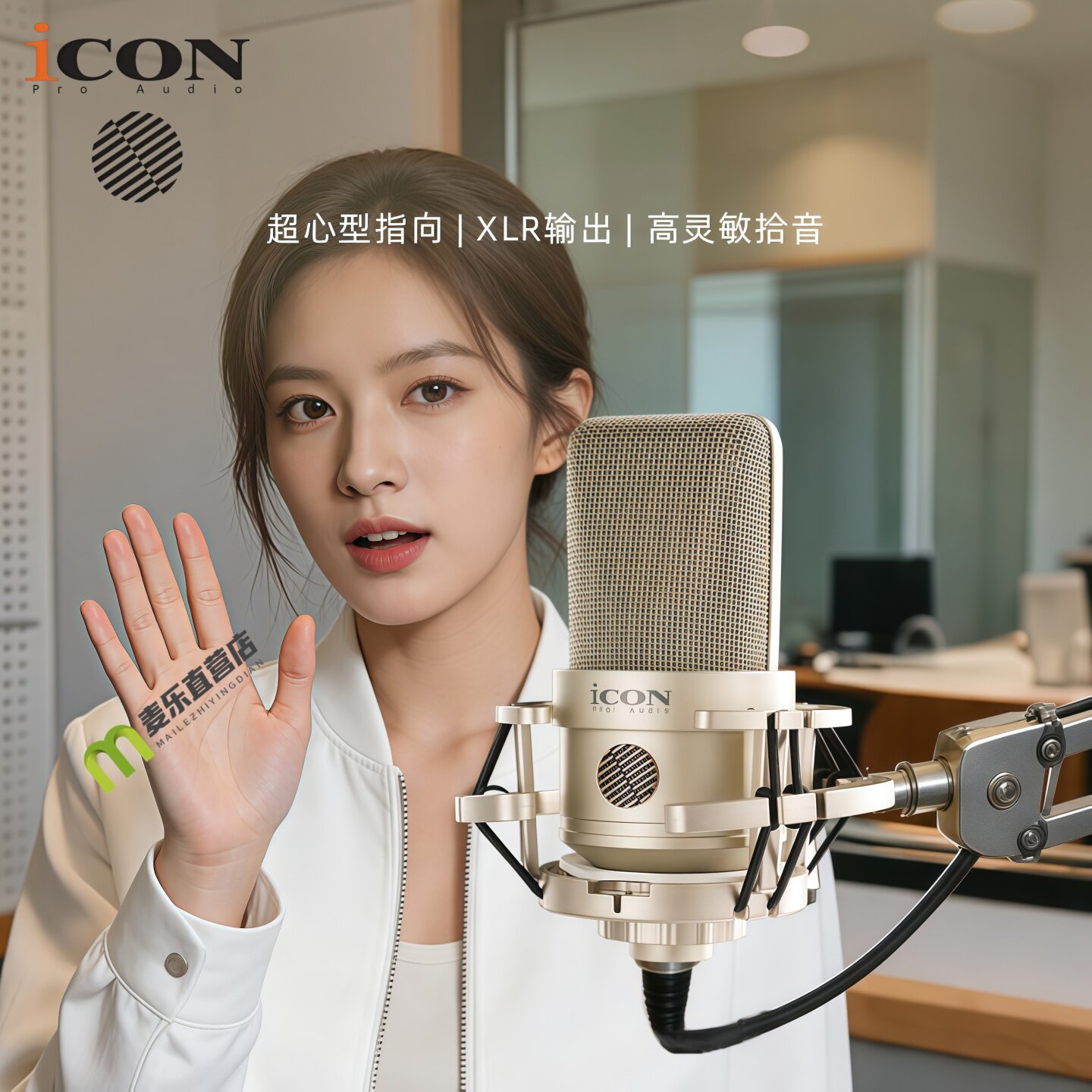 艾肯TARA麦克风直播主播有线电容麦麦声卡专用话筒唱歌录音超心型