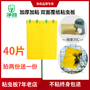 双面粘虫板黄板蓝板诱虫板支架白粉虱蓟马果园家用养花黏沾虫神器