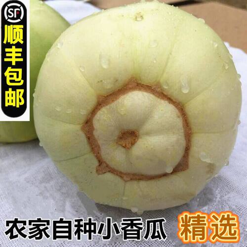 湖北新鲜甜瓜脆皮本地头茬白梨