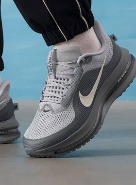 Nike耐克男鞋飞马PEGASUS PREMIUM气垫缓震透气跑步鞋 HQ2592-013