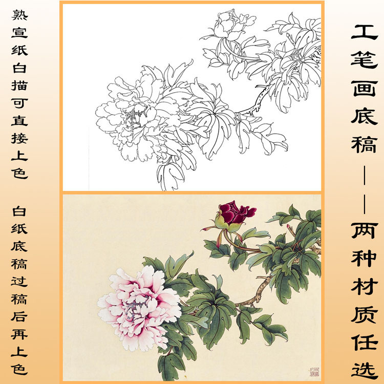 m85于非闇牡丹工笔画白描底稿熟宣纸线描可直接上色横幅