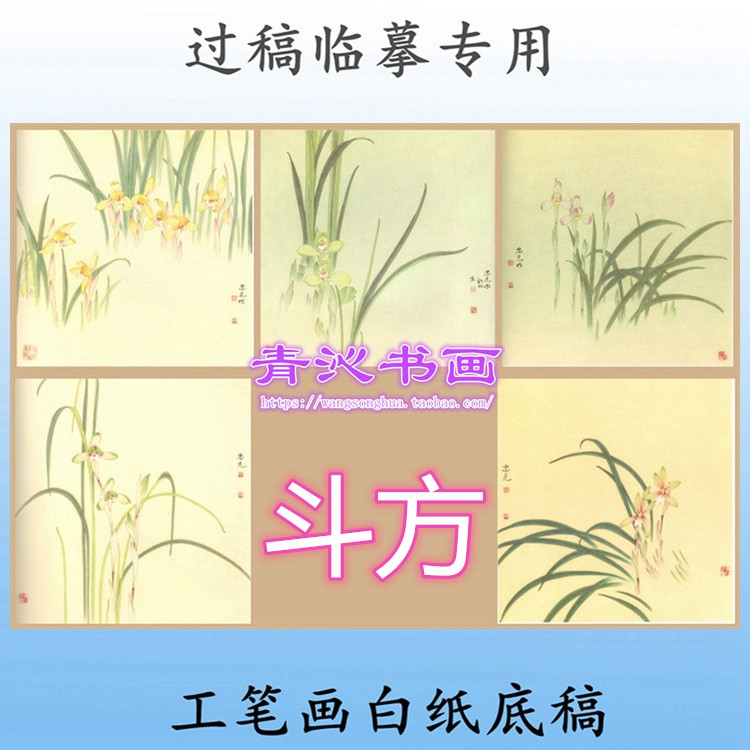 X3兰花花鸟工笔画白描底稿实物纸质白描画稿斗方5张任选