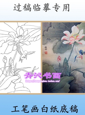 H58荷花翠鸟工笔画白描底稿实物白纸线描画稿条幅