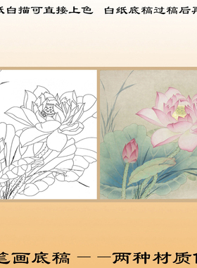 工笔画白描底稿荷花熟宣纸白描