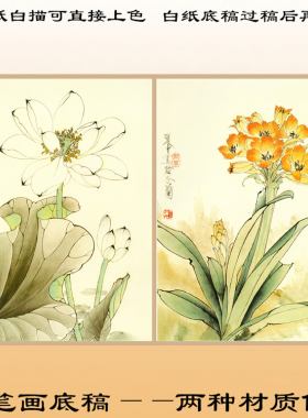 工笔画白描底稿上色宣纸画稿花卉