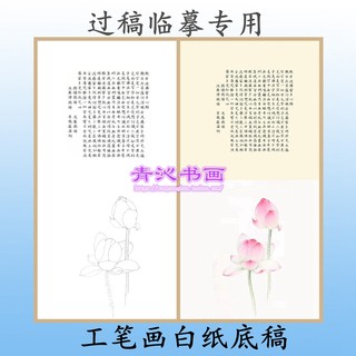 H186荷花般若波罗蜜多心经工笔画白描底稿实物白纸线描画稿条幅