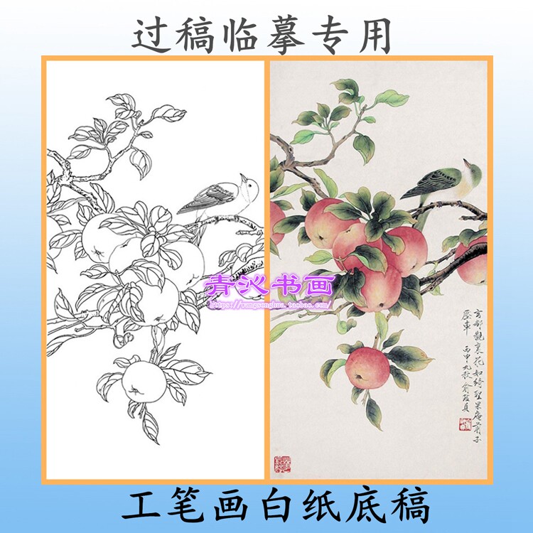 n216工笔画底稿国画临摹花鸟白描画稿掐丝画底稿俞致贞苹果条幅