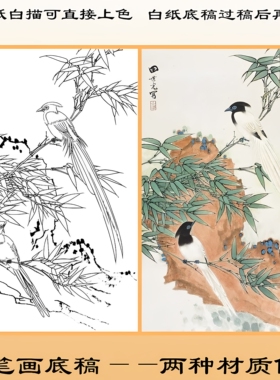 田世光寿带鸟花鸟工笔画白描底稿