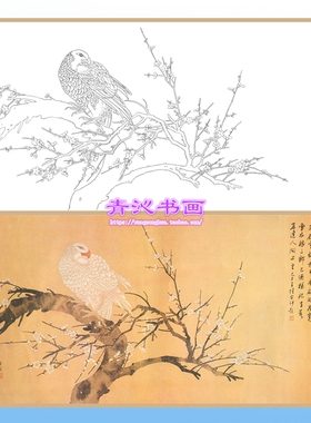 D11精品国画陈之佛白描底稿老鹰猛禽线描动物稿横幅