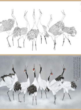 N106张克齐仙鹤工笔白描底稿熟宣纸线描画稿四六尺线描画稿横幅