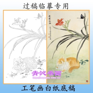 D63工笔画白描底稿实物白纸线描画稿猫咪动物俞致贞条幅