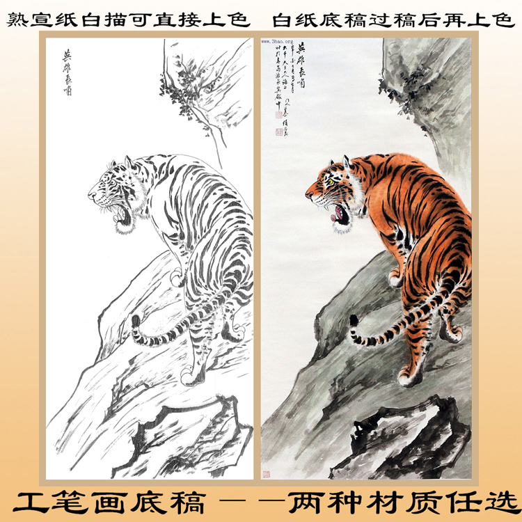 D5猛兽老虎动物工笔画白纸底稿透稿临摹用熟宣纸线描直接上色条幅