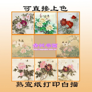M18喻继高鸽子赵贵德俞致贞莫建成牡丹工笔画白描底稿熟宣纸斗方