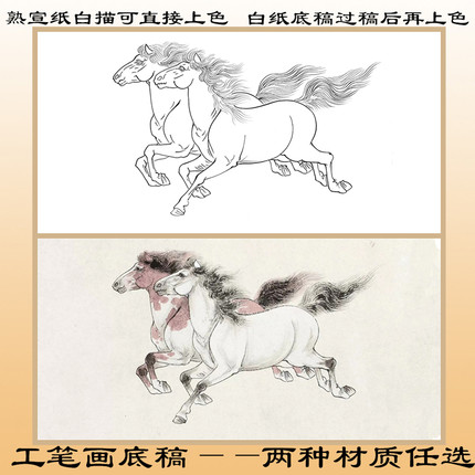 D89骏马图马到成功熟宣纸工笔画白描底稿线描画稿可直接上色横幅
