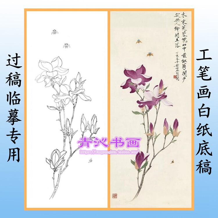 n204于非闇玉兰花花鸟工笔画白描白纸底稿线描画稿条幅