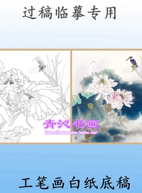 荷花翠鸟工笔画白描底稿线描画稿