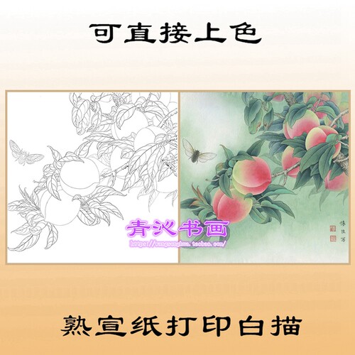 K3寿桃子图工笔画白描熟宣纸底稿线描蔬果画稿可直接上色斗方