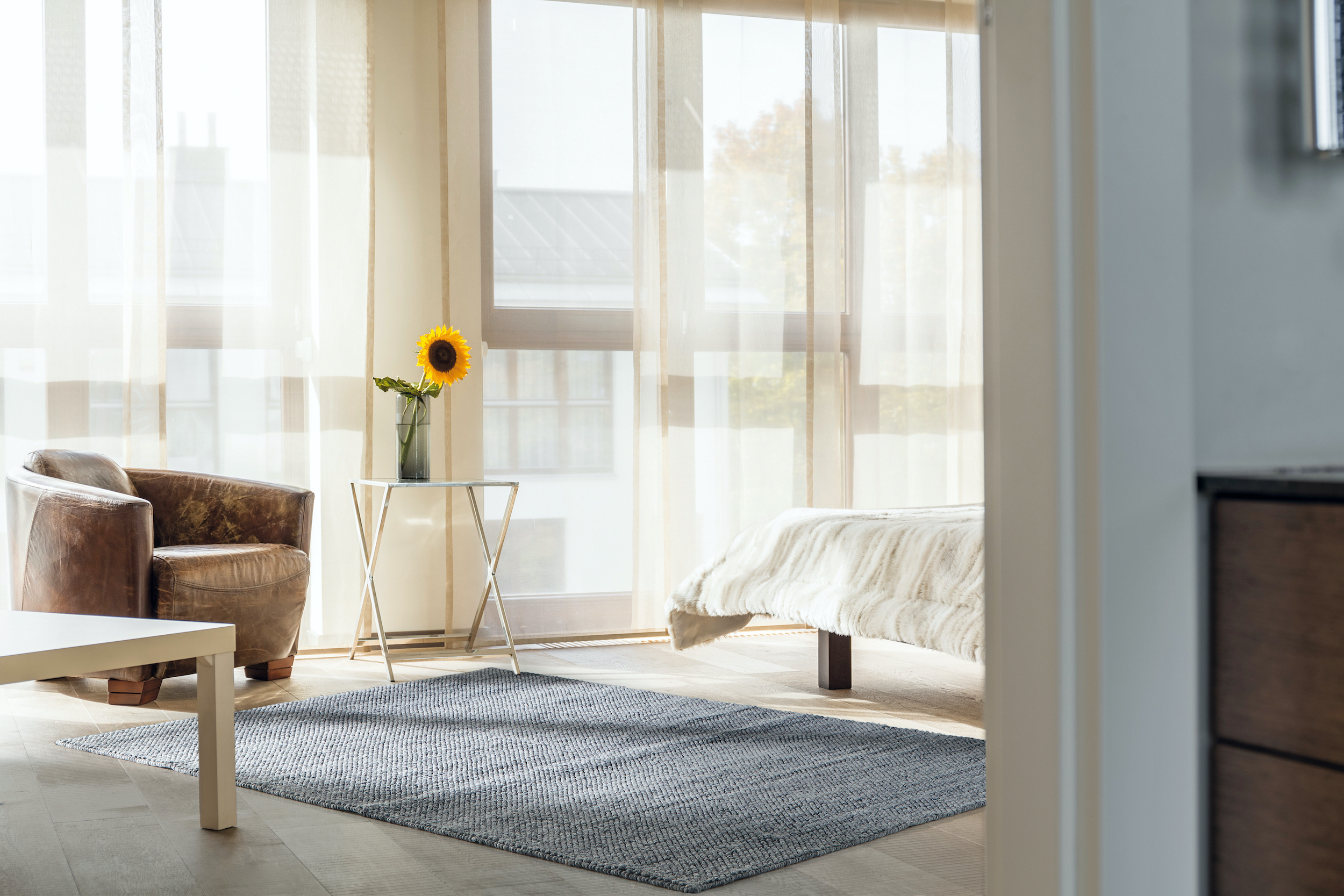 简约家用办公客厅地毯